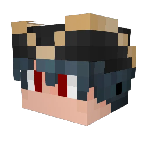 Docinhoo0 Minecraft avatar head, 3D render