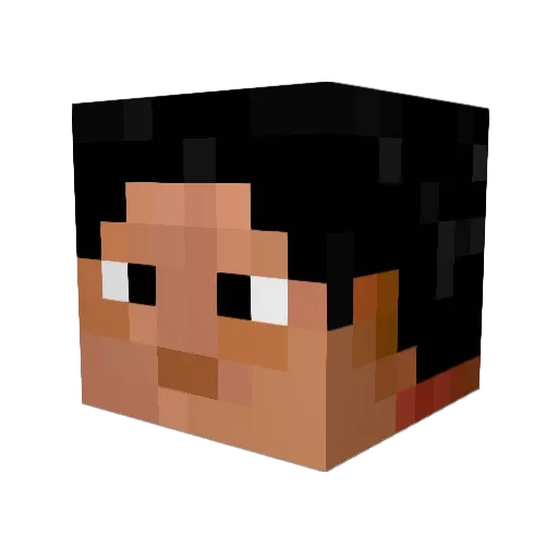 Dockboi160 Minecraft avatar head, 3D render