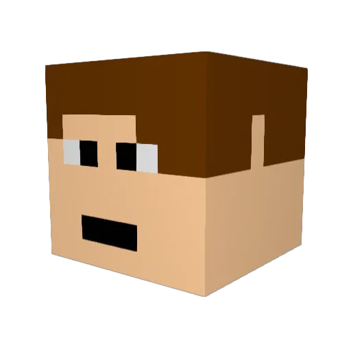 Dockerman11 Minecraft avatar head, 3D render