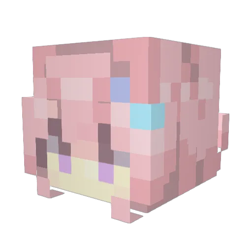 Docroos Minecraft avatar head, 3D render