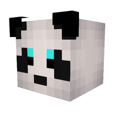 Docshuu Minecraft avatar head, 3D render