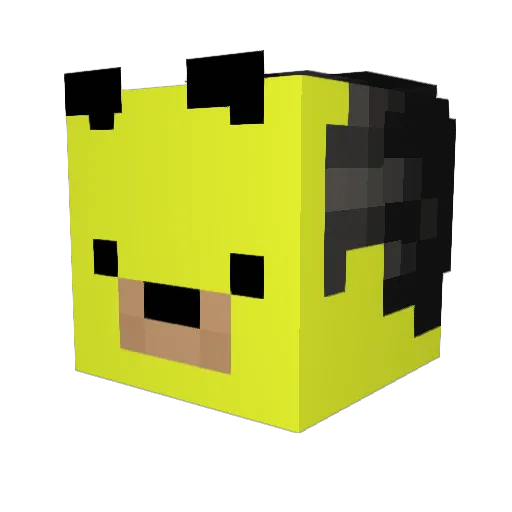 DocterBananaBear Minecraft avatar head, 3D render