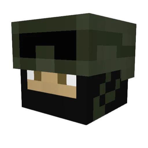 Doctercraze273 Minecraft avatar head, 3D render