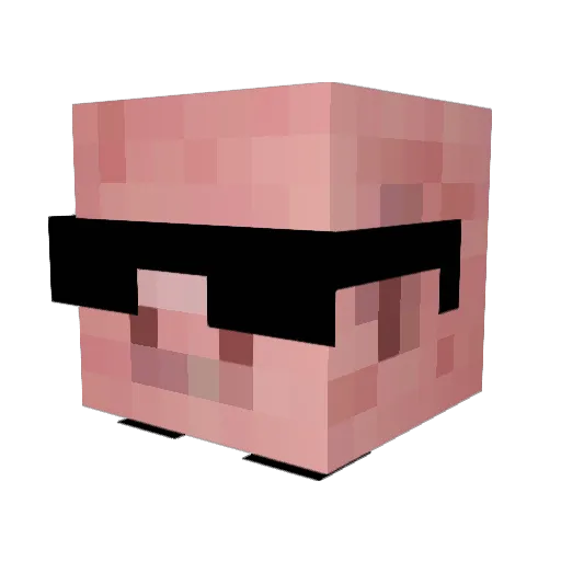 Docterporkchop Minecraft avatar head, 3D render