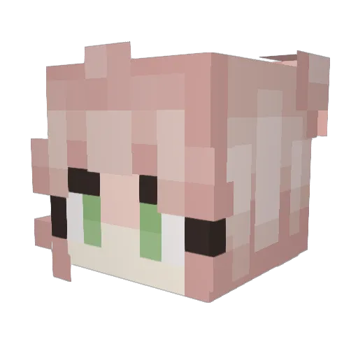 Doctor06 Minecraft avatar head, 3D render