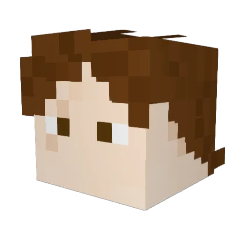 Doctor8207 Minecraft avatar head, 3D render