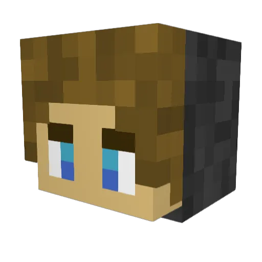 DoctorAeg Minecraft avatar head, 3D render