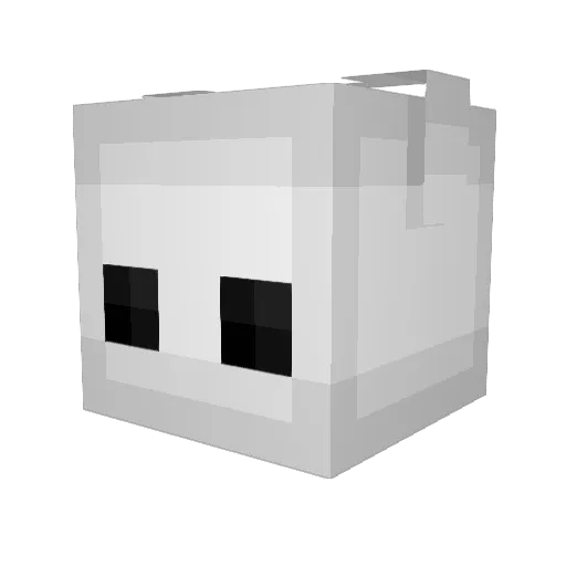 DoctorBagels Minecraft avatar head, 3D render