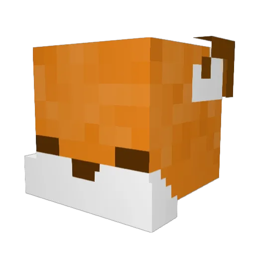 DoctorBambis Minecraft avatar head, 3D render