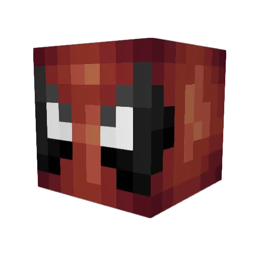 DoctorBleach Minecraft avatar head, 3D render