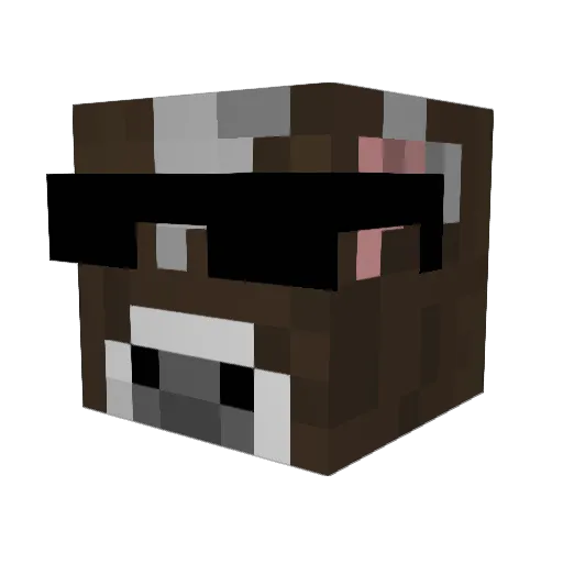 DoctorBobnar Minecraft avatar head, 3D render