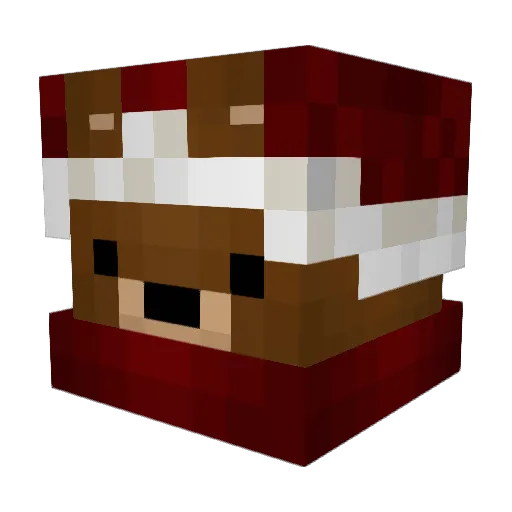 DoctorBrumm Minecraft avatar head, 3D render