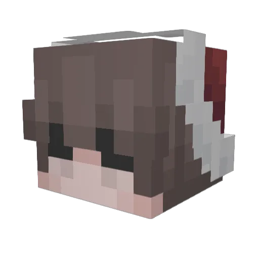 DoctorCookieHigh Minecraft avatar head, 3D render