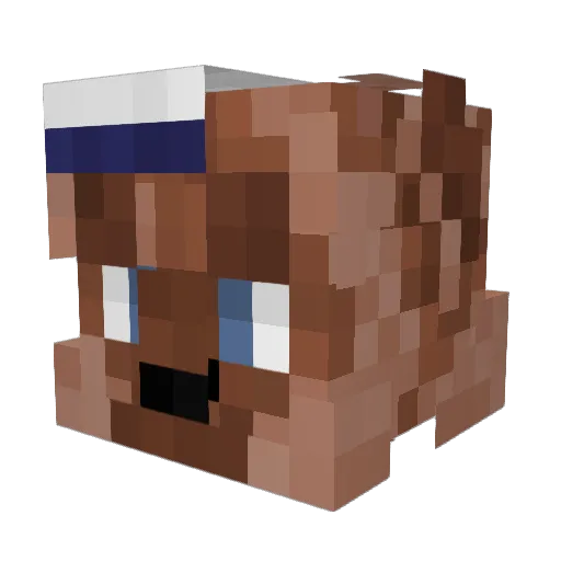 DoctorCorgi Minecraft avatar head, 3D render