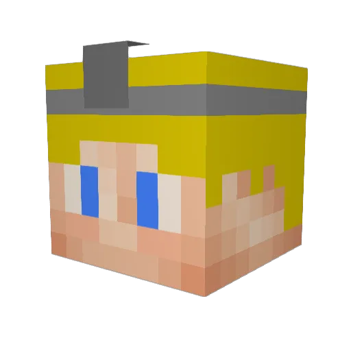 DoctorCorni Minecraft avatar head, 3D render
