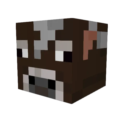 DoctorCow_DC Minecraft avatar head, 3D render