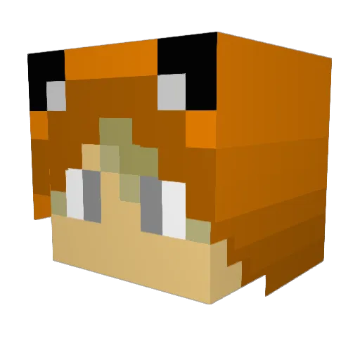 DoctorD3rpy Minecraft avatar head, 3D render
