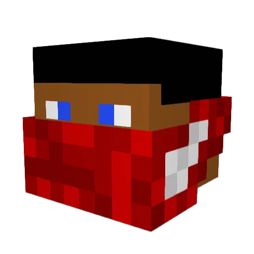 DoctorDDrup Minecraft avatar head, 3D render