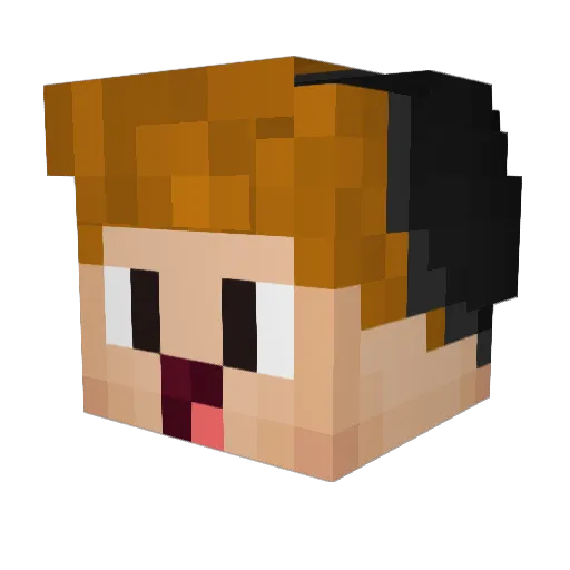 DoctorDean50 Minecraft avatar head, 3D render
