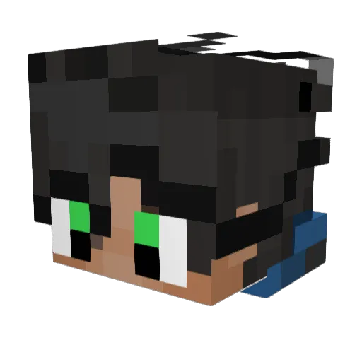 DoctorDefault Minecraft avatar head, 3D render