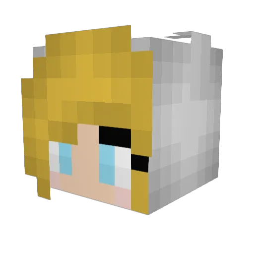 DoctorDerpy101 Minecraft avatar head, 3D render