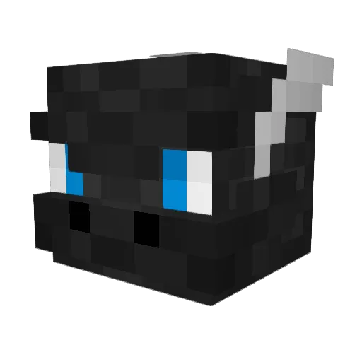 DoctorDireDragon Minecraft avatar head, 3D render