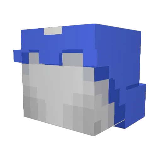 DoctorDisco25 Minecraft avatar head, 3D render