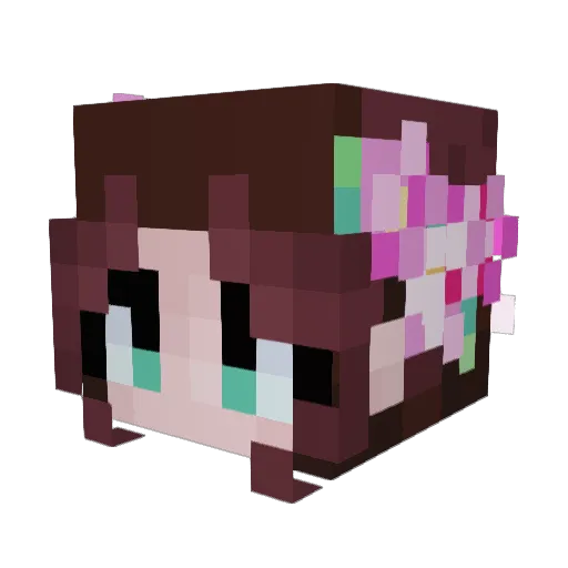 DoctorDoge1128 Minecraft avatar head, 3D render