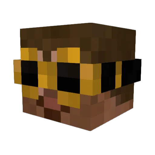 DoctorDoodad Minecraft avatar head, 3D render