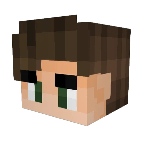 DoctorDrops Minecraft avatar head, 3D render
