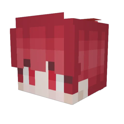 DoctorEvio14 Minecraft avatar head, 3D render