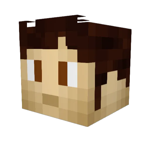 DoctorEx Minecraft avatar head, 3D render