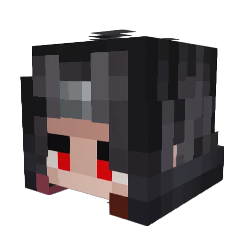 DoctorFlowZ Minecraft avatar head, 3D render