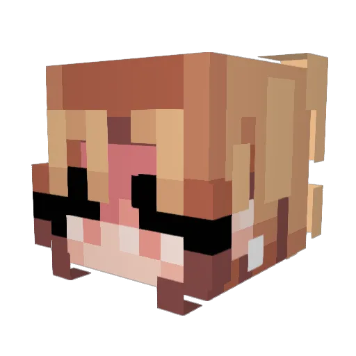 DoctorIggy Minecraft avatar head, 3D render