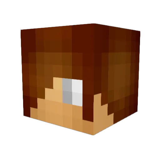 DoctorJTheBoss Minecraft avatar head, 3D render
