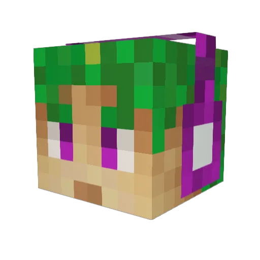 DoctorJohn973 Minecraft avatar head, 3D render