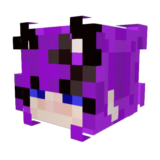 DoctorKatMD Minecraft avatar head, 3D render