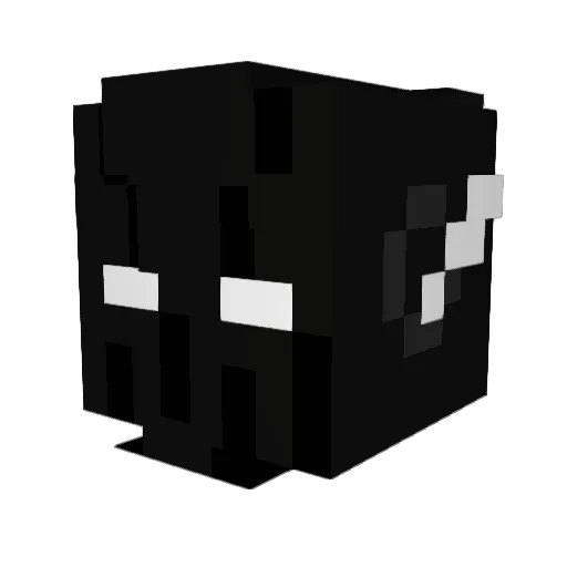 DoctorLayne134 Minecraft avatar head, 3D render
