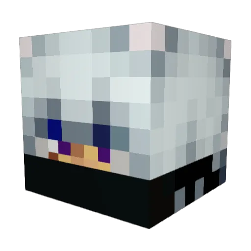 DoctorLove Minecraft avatar head, 3D render