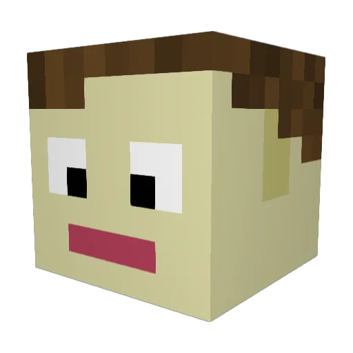 DoctorMeercat Minecraft avatar head, 3D render