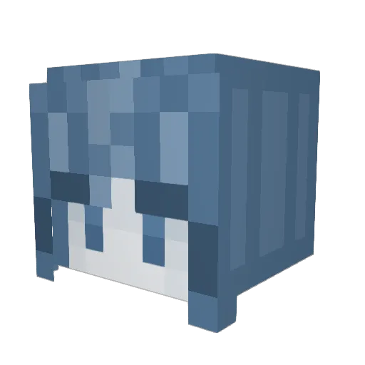DoctorMoose22 Minecraft avatar head, 3D render