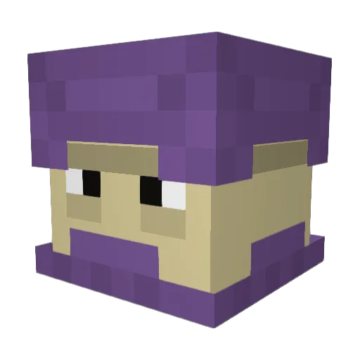 DoctorMothy Minecraft avatar head, 3D render