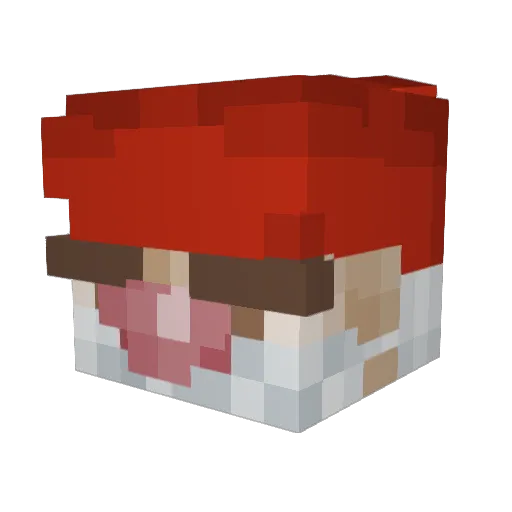 DoctorNessie Minecraft avatar head, 3D render