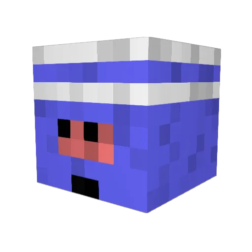 DoctorNoils Minecraft avatar head, 3D render