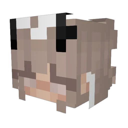 DoctorOfDells Minecraft avatar head, 3D render