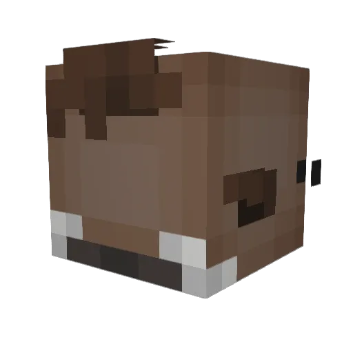 DoctorOnion Minecraft avatar head, 3D render