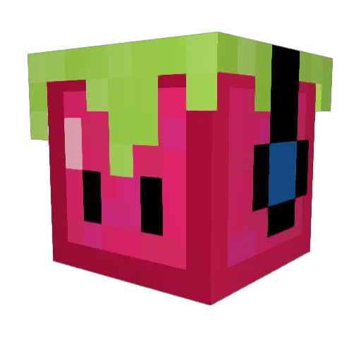 DoctorRaspberry Minecraft avatar head, 3D render