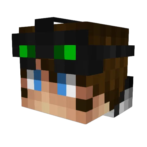 DoctorRogue Minecraft avatar head, 3D render