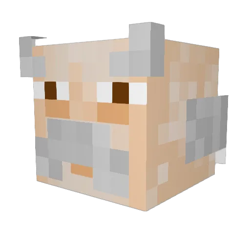 DoctorShnizzle Minecraft avatar head, 3D render