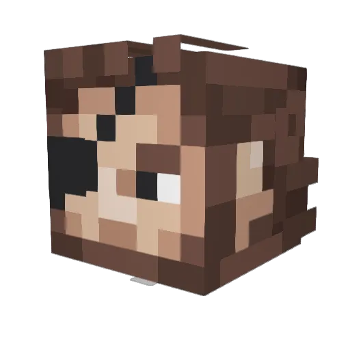 DoctorSokka Minecraft avatar head, 3D render